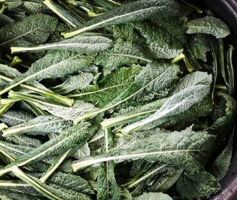 Lacinato Kale