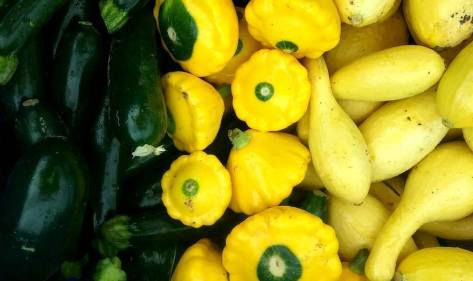 Summer Squash | Jupiter Ridge Farm