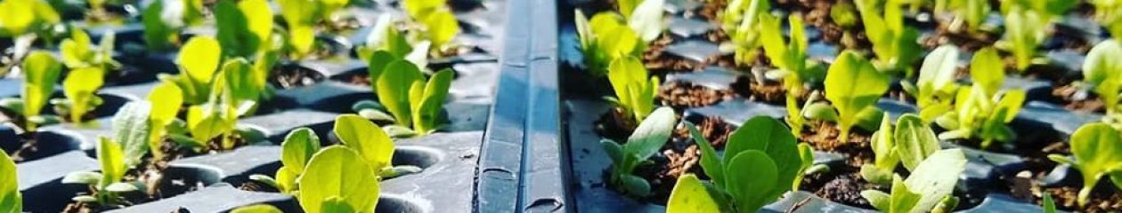 – Jupiter Ridge Farm –