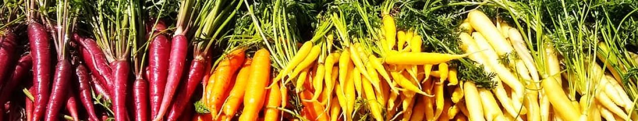 – Jupiter Ridge Farm –