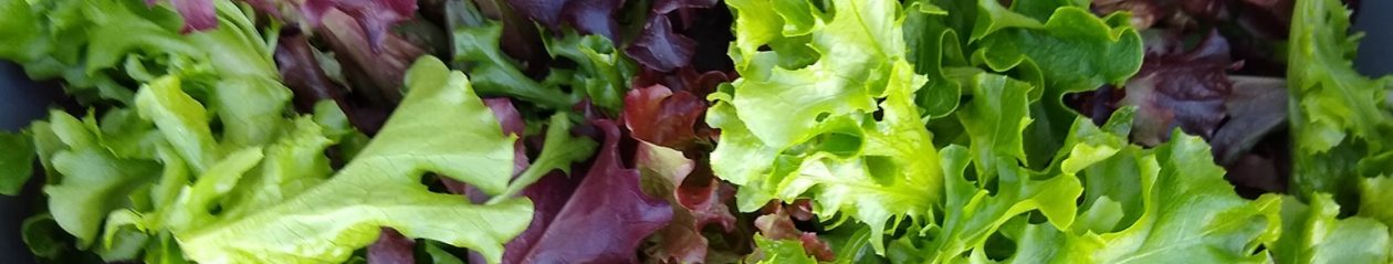 – Jupiter Ridge Farm –