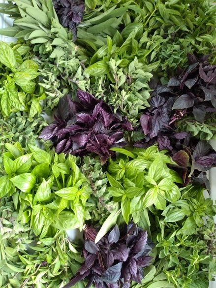 Herb Bunches | Jupiter Ridge Farm