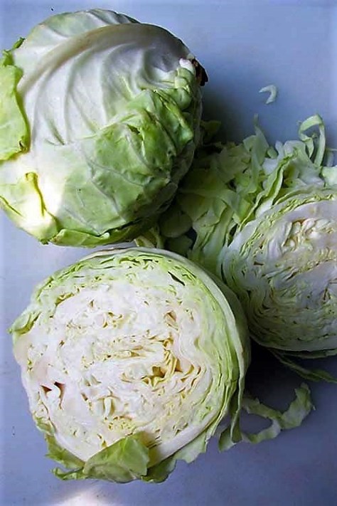 Sliced Cabbage