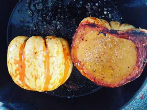 Carnival Squash | Jupiter Ridge Farm