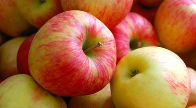 Jupiter Ridge 2019 CSA | Week 12