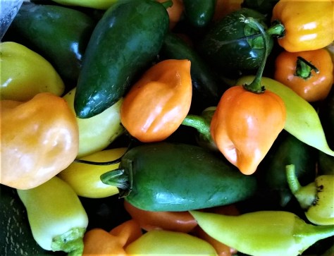 Hot Peppers | Jupiter Ridge Farm