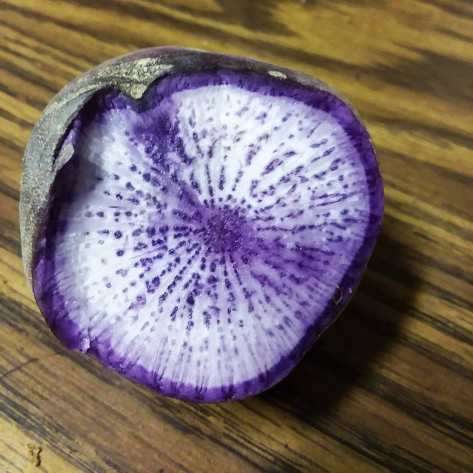 Sliced Daikon | Jupiter Ridge Farm