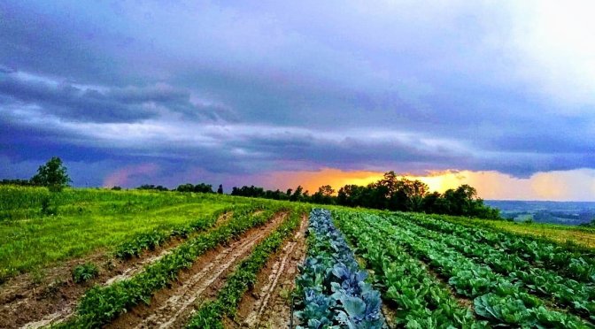 Jupiter Ridge 2020 CSA | Week 1!