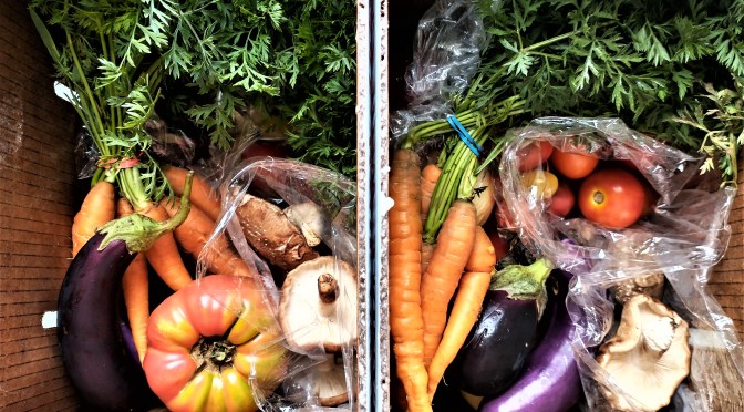 Summer Veggie Farm Share Box Delivery | Jupiter Ridge Farm