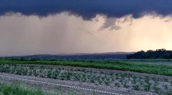 Jupiter Ridge 2020 CSA | Week 6 & Cedar Rapids Derecho Delivery Plans