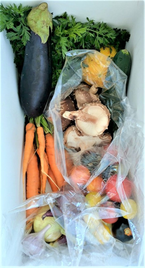 CSA Share | Jupiter Ridge Farm